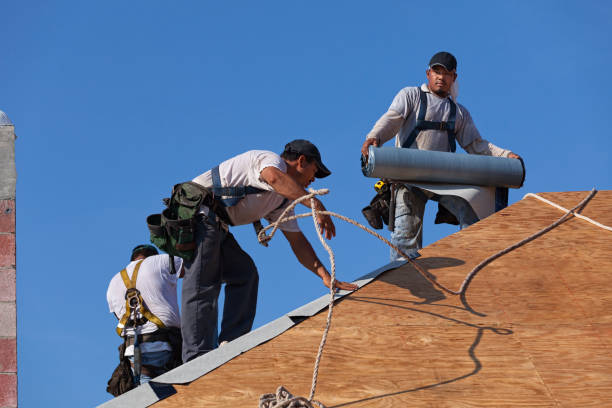 Best Roof Repair Services  in St Paul, VA