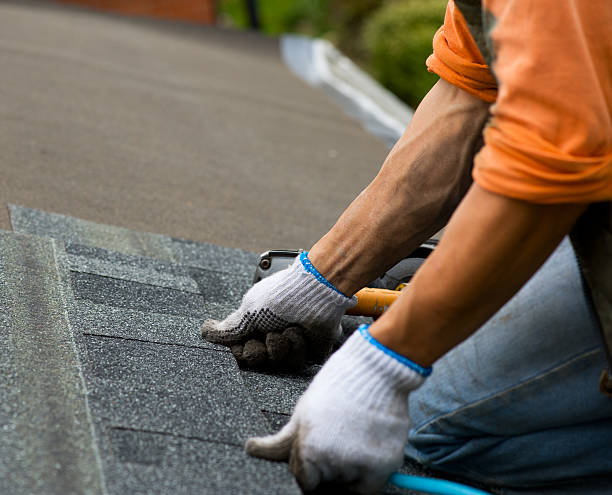 Best Local Roofing Companies  in St Paul, VA